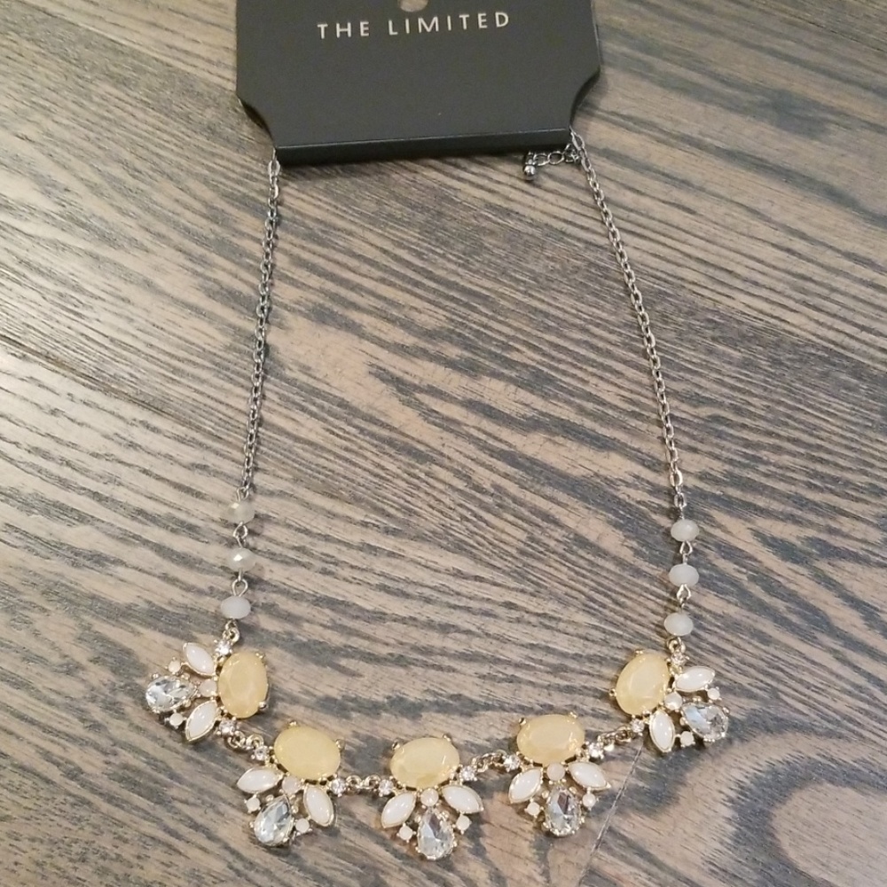 NWT Gorgeous necklace